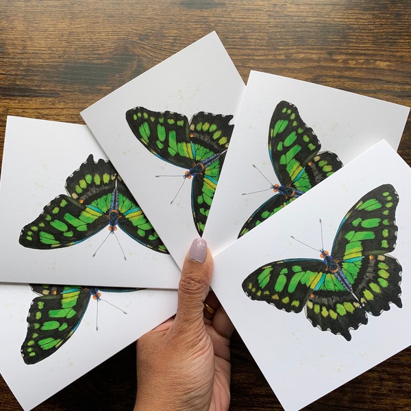 Greeting cards, malachite butterfly, blank cards, thank you cards, cards, green butterfly, watercolor cards, butterfly cards, watercolor art