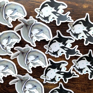 Orca & Whale Stickers : clear vinyl laptop stickers (Set of 2)