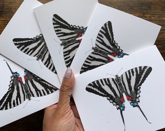 Cartes de voeux, papillon machaon zèbre, cartes papillon, papillon aquarelle, cartes, cartes de sympathie, cartes vierges, cartes de remerciement