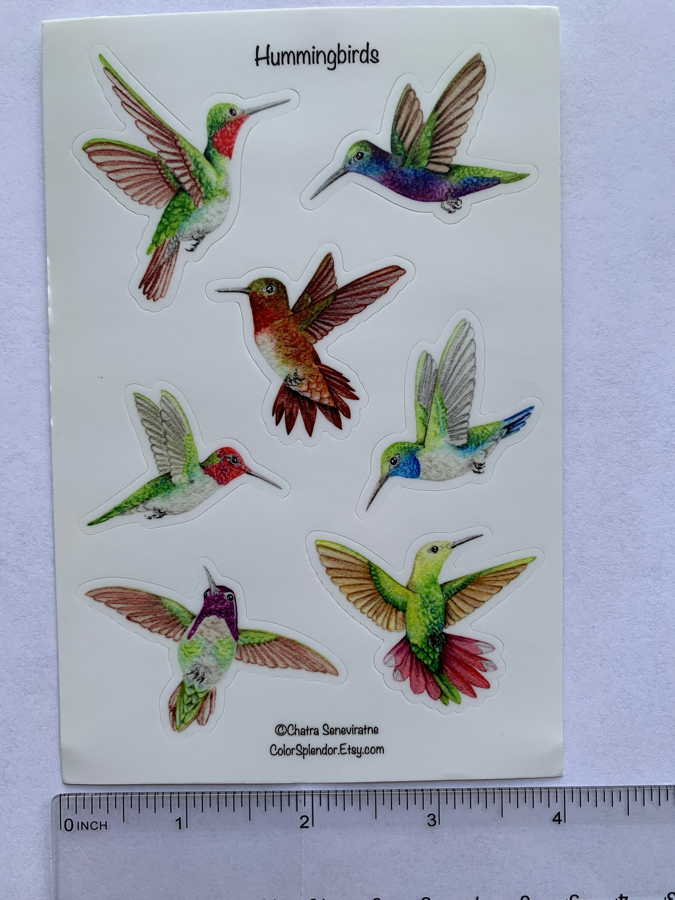 Hummingbird Sticker Sheet: Weatherproof Vinyl Stickers, Scrapbooking - Etsy