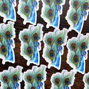 Peacock, peacock stickers, peacock vinyl sticker, vinyl stickers, laptop stickers, peacocks, exotic birds, watercolor stickers, peacock art