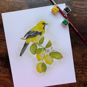 Aquarelle oriole jaune, peinture oiseau oriole, aquarelle citron, aquarelle, oeuvre d'art, décoration intérieure, décoration murale, impressions jet d'encre image 3