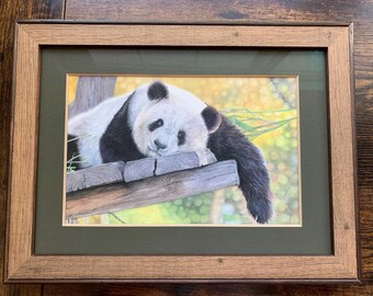 Panda colored pencil ORIGINAL drawing - FRAMED ready to hang wall art