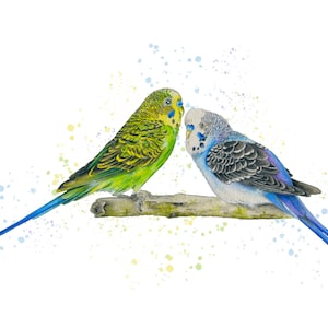 Parakeet Couple Watercolor Giclee Print: Tropical Birds Art