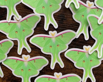 Luna moth, Luna moth stickers,  stickers, moth stickers, scrapbooking, craft, laptop stickers, clear stickers, vinyl stickers, clear sticker