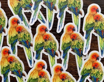 Sun Conure stickers - waterproof vinyl dye cut watercolor art stickers