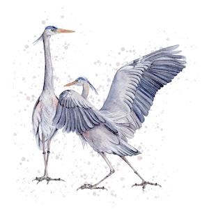 Great blue heron, blue heron, heron watercolor painting, Giclee prints, heron couple, blue heron couple painting, home decor, bird painting
