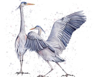 Blue Heron Couple Watercolor Painting: Giclee Bird Art Print