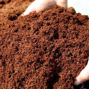 May include: A close-up of a pile of brown coconut coir, a natural soil amendment, being held in a person's hands.