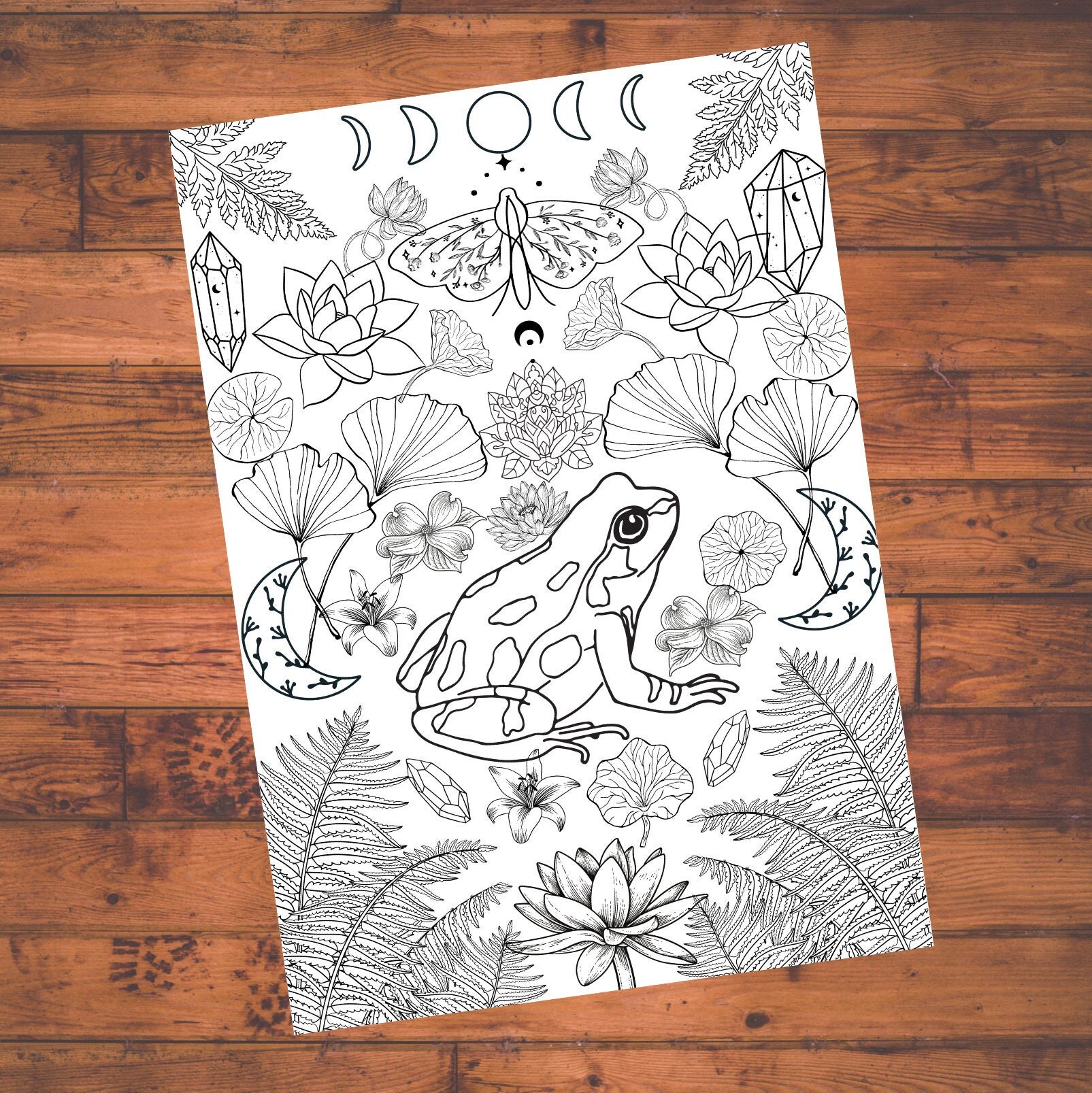 20+ Frog And Toad Coloring Pages