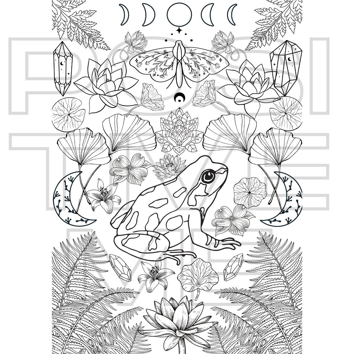 Frog Printable Coloring Page, Boho Crystals Coloring Page, Witchy