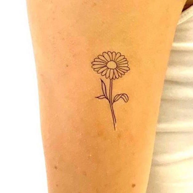 Daisy Tattoo Design Images Daisy Ink Design Ideas  Daisy tattoo Daisy  tattoo designs Gerbera daisy tattoo