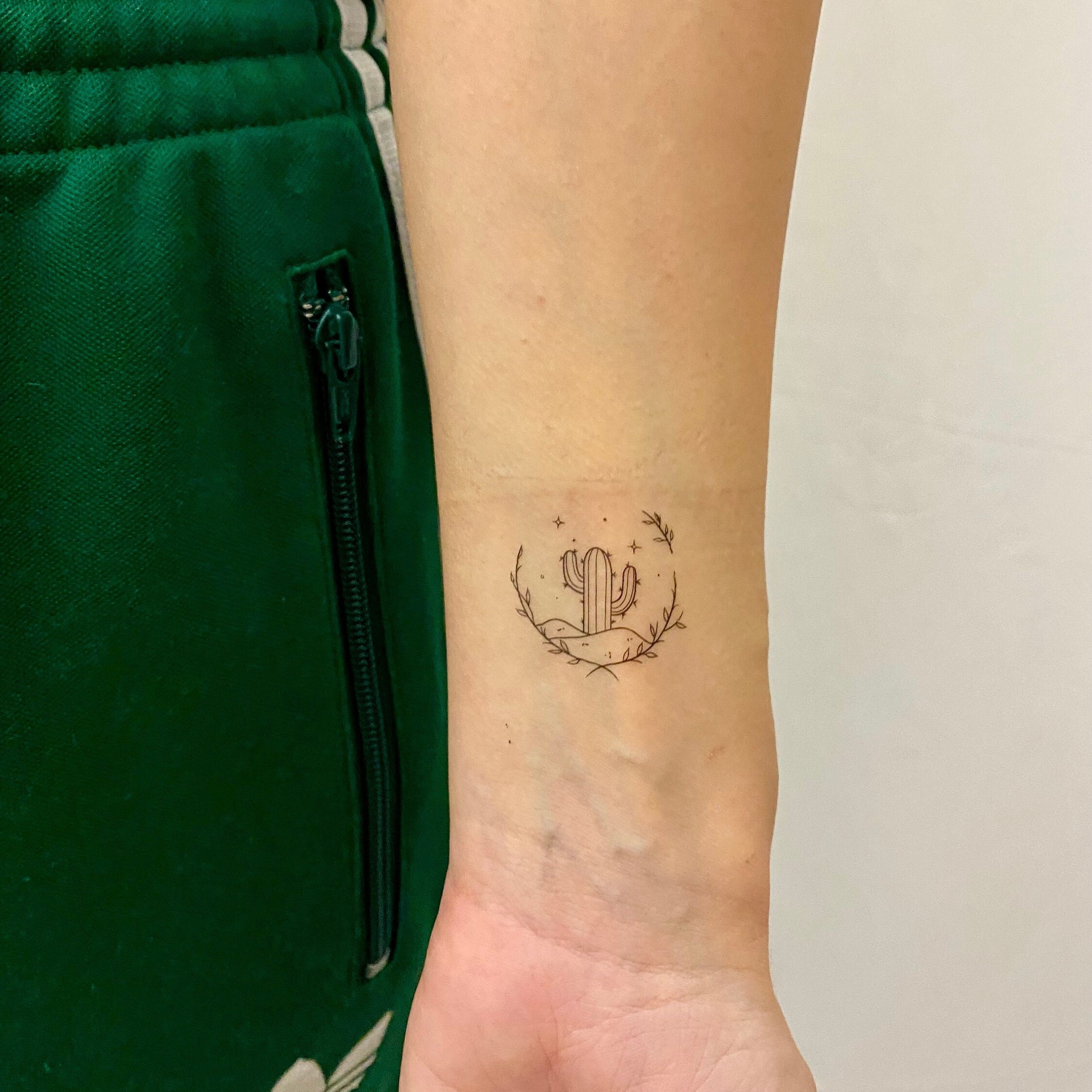 Tatuagem Adesiva Temporária De Cacto Geométrico Vankinter, Para
