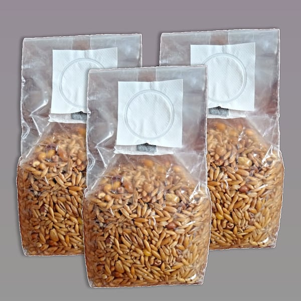 Grain spawn base sterile 3 x 600g, for the production of mushroom seed spawn