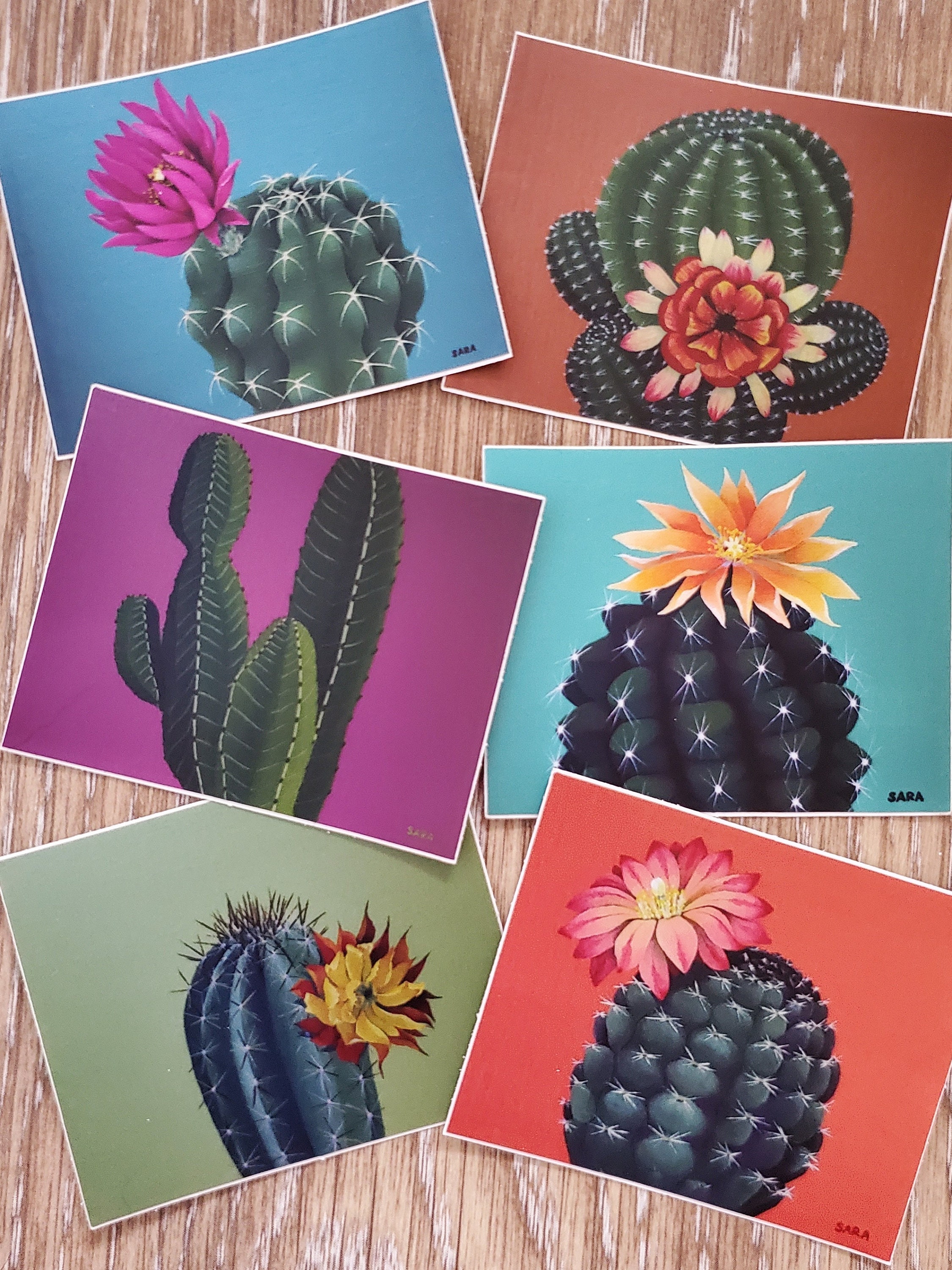 Set of seven original vinyl cacti stickers.