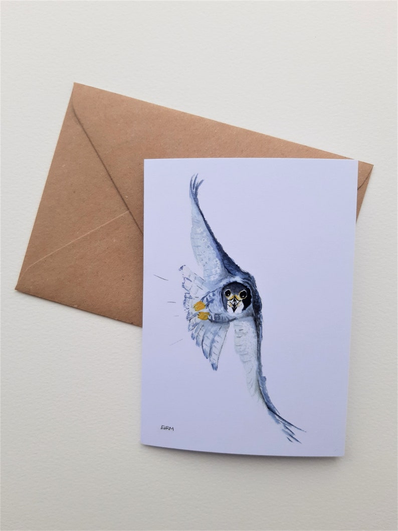 Peregrine falcon gift card, British birds, wildlife cards, blank, art, greeting cards image 1