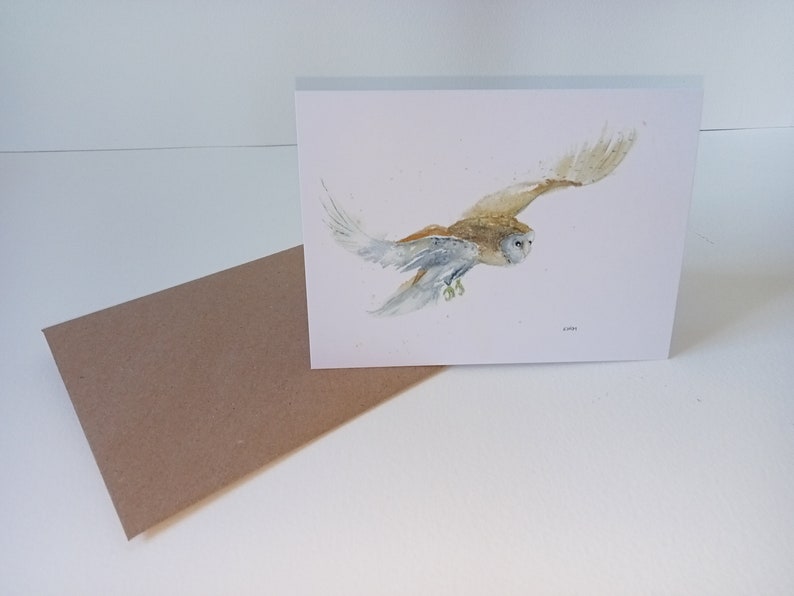 Barn owl 6 pack of gift cards, wildlife card, British wildlife, bird card, raptor cards, blank, art Barn Owl