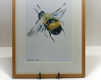 Bumblebee print, framed prints, Wildlife watercolour prints, watercolour painting, artwork, insects, bee, wildlife artwork, bumblebee