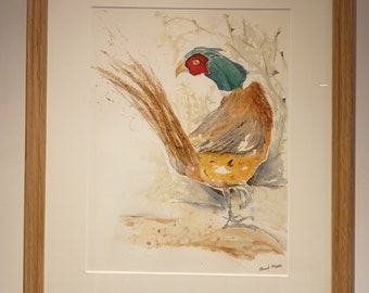 Pheasant watercolour, cock pheasant, Original framed watercolour painting, birds, game birds, shooting, wildlife art