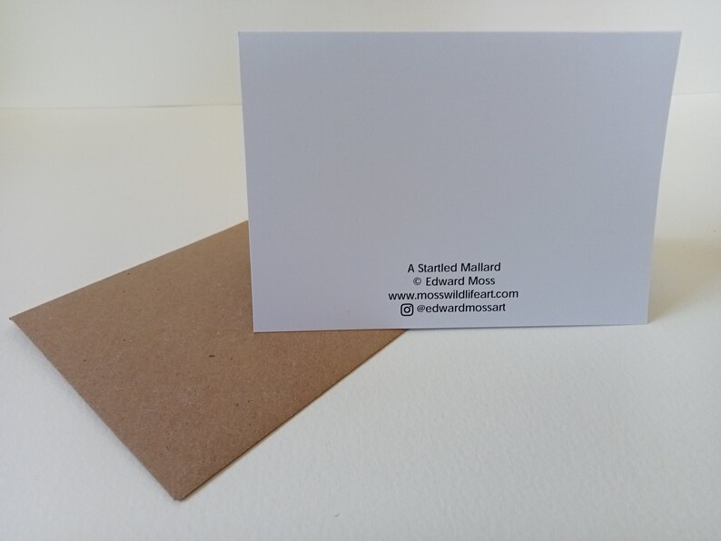 Mallard duck gift card, bird greetings card, note card, birthday card, A6 blank card, animal print image 3