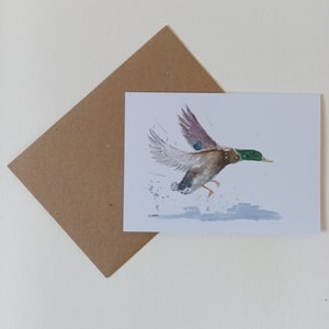 Mallard duck gift card, bird greetings card, note card, birthday card, A6 blank card, animal print image 1