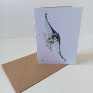 Peregrine falcon gift card, British birds, wildlife cards, blank, art, greeting cards image 2