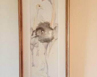 Framed original wildlife watercolour painting, Ostrich, art, birds