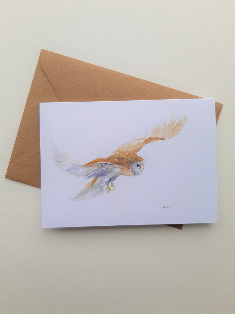 Barn owl 6 pack of gift cards, wildlife card, British wildlife, bird card, raptor cards, blank, art image 1