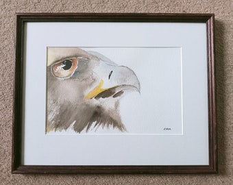 Eagles head, golden eagle, Framed watercolour painting, Original painting, Watercolours, bird of prey, raptors, art