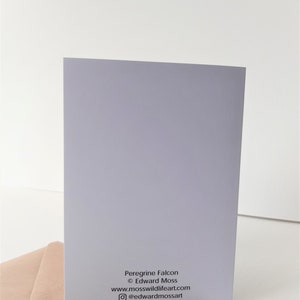 Peregrine falcon gift card, British birds, wildlife cards, blank, art, greeting cards image 3