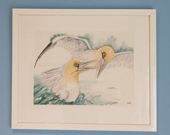 Framed watercolour painting of gannets, wildlife art, Original painting, seabirds, art