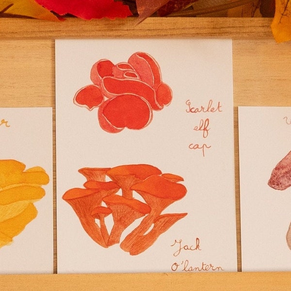 Carte postale aquarelle collection champignons