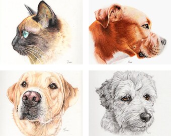 Pet Pencil Portrait Commission Custom Hand Drawn