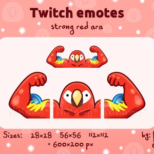 Puede incluir: Un conjunto de cuatro emotes de Twitch que muestran un guacamayo rojo y azul con los brazos flexionados, mostrando sus músculos. Los emotes están disponibles en cuatro tamaños: 28x28, 56x56, 112x112 y 600x200 píxeles. Los emotes están diseñados por Nik amii.