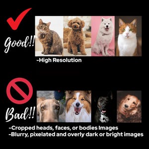 May include: Image comparing good and bad examples of pet photos. The top row shows high-resolution images of a cat, a poodle, a white dog, and a cat. The bottom row shows examples of bad images, including cropped heads and blurry images.