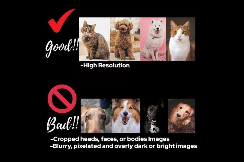 May include: Image comparing good and bad examples of pet photos. The top row shows high-resolution images of a cat, a poodle, a white dog, and a cat. The bottom row shows examples of bad images, including cropped heads and blurry images.