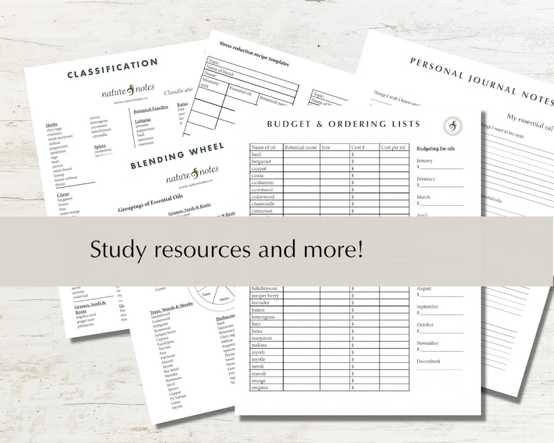 Essential Oil Planner & Formula Template binder inserts image 5