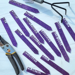 Customizable Acrylic Plant Stakes