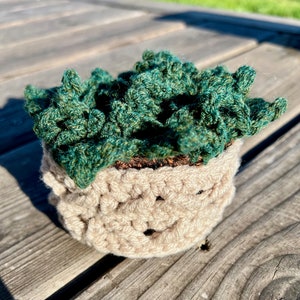 Succulent Coaster Set with Pot Crochet PATTERN Hook&Punch