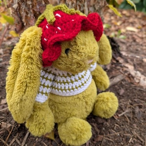 Peut inclure: Un lapin en peluche vert olive portant un chapeau de fraise crocheté rouge avec des accents blancs et un pull rayé blanc et vert. Le lapin est assis sur un lit de paillis et de feuilles bruns.