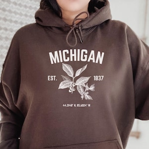 Michigan Hoodie/ Vintage Michigan Hoodie/ State Hoodie/ Michigan Sweatshirt/ Michigan Gifts