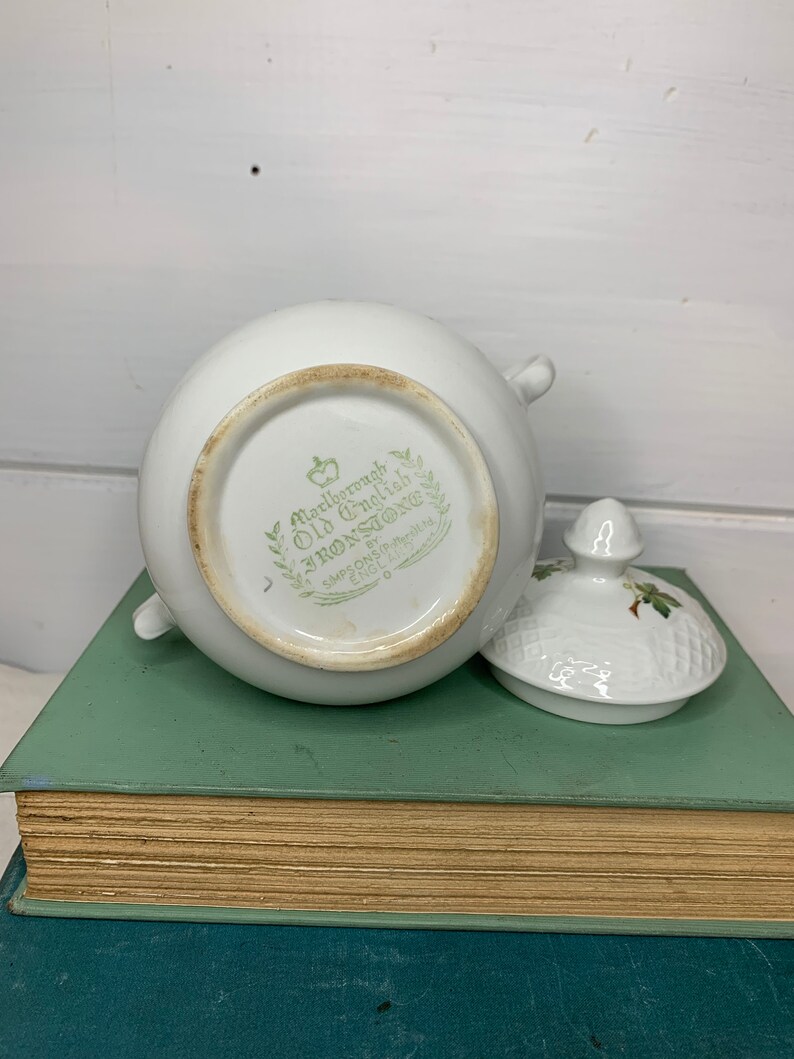 Vintage Ironstone Sugar Bowl With Ivy Leaf Pattern Etsy