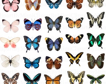 Butterfly Clipart Separate PNG Vintage Images of Butterflies Digital Download, Scrapbooking, Instant Download Fussy Cut Clipart Butterfly