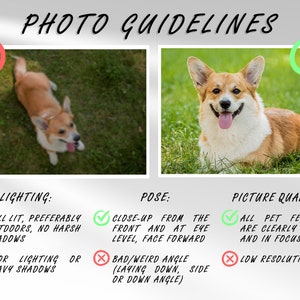 May include: Photo guidelines for taking pictures of pets. The guidelines include lighting, pose, and picture quality. The image shows two photos of a corgi, one with a red X and one with a green check mark.