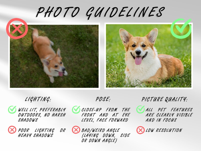 May include: Photo guidelines for taking pictures of pets. The guidelines include lighting, pose, and picture quality. The image shows two photos of a corgi, one with a red X and one with a green check mark.