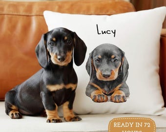 May include: A black and tan dachshund puppy sits beside a white cushion featuring a dachshund portrait and the name "Lucy". The cushion has an orange oval that says "READY IN 72 HOURS".