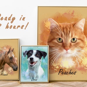 May include: Three framed pet portraits with watercolor backgrounds. The portraits feature a brown horse named Peanut, a black and white dog named Oreo, and a ginger cat named Peaches.