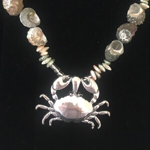 May include: A silver crab pendant hangs from a necklace made of various seashells. The necklace is strung on a silver chain.
