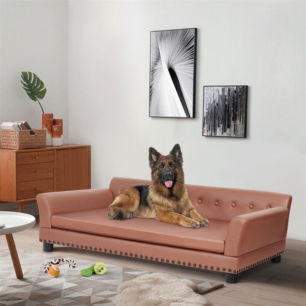 large pet couch