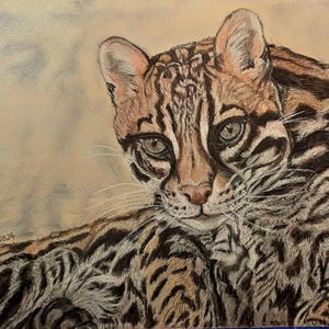 Olivia l&#39;ocelot, peinture pastel originale
